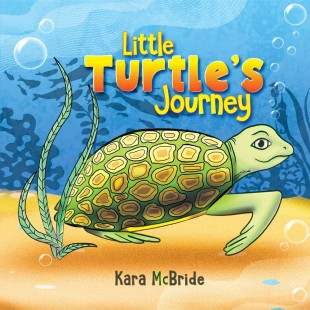 Little Turtle’s Journey