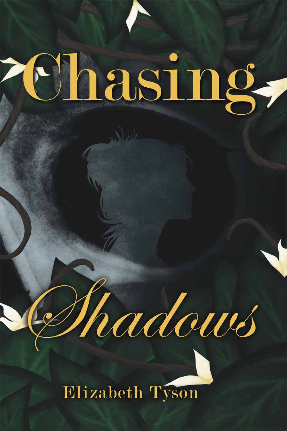 Chasing Shadows by Elizabeth Tyson