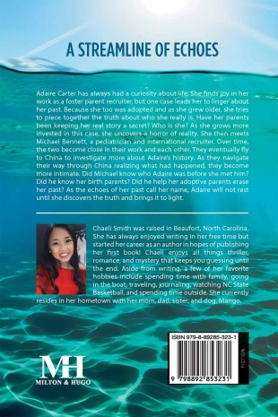 A Streamline of Echoes - Back Cover