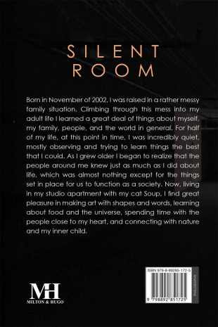 Silent Room - Back Cover