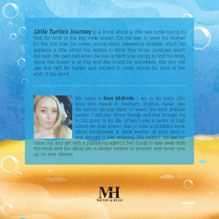 Little Turtle’s Journey - Back Cover