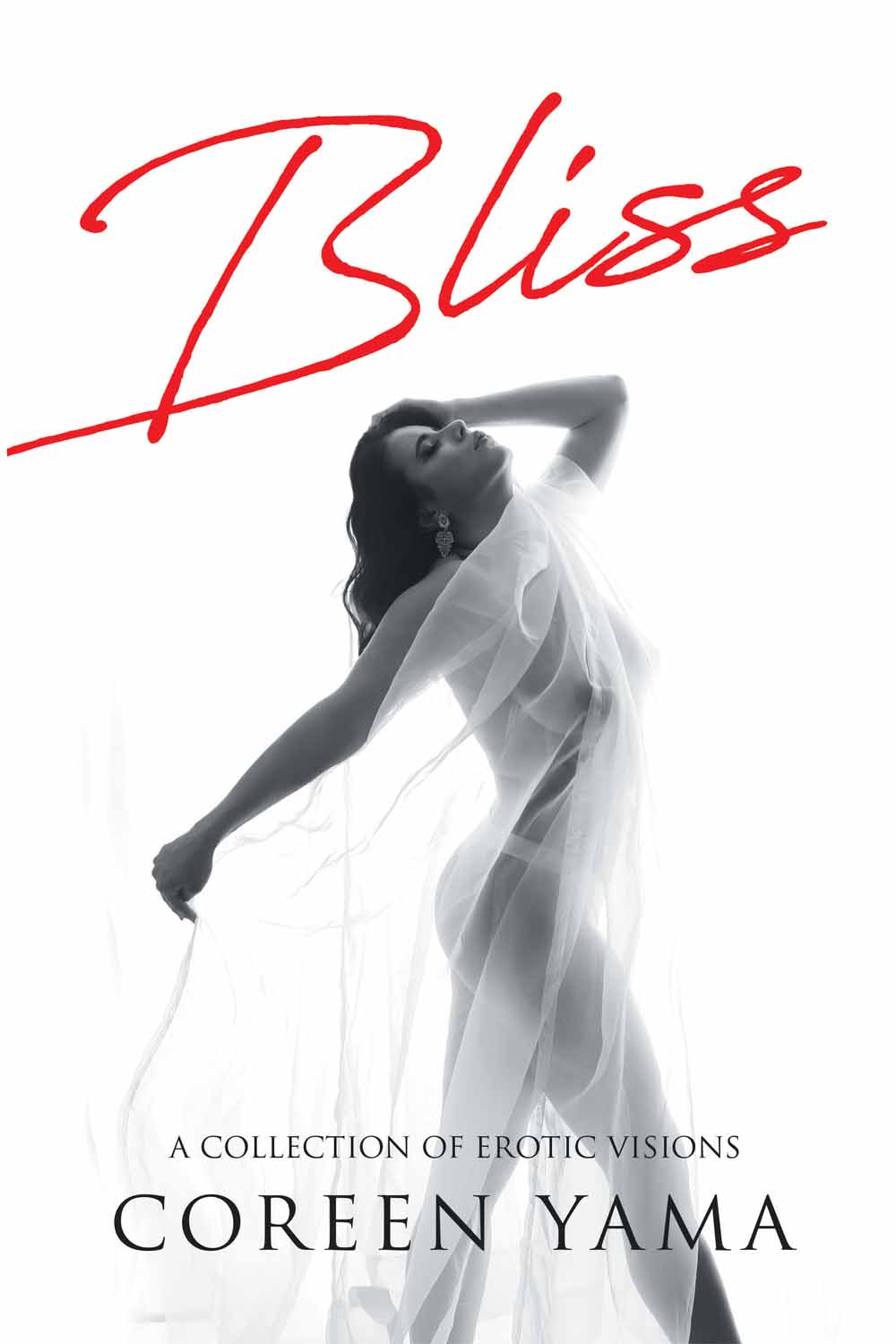 Bliss: A Collection of Erotic Visions
