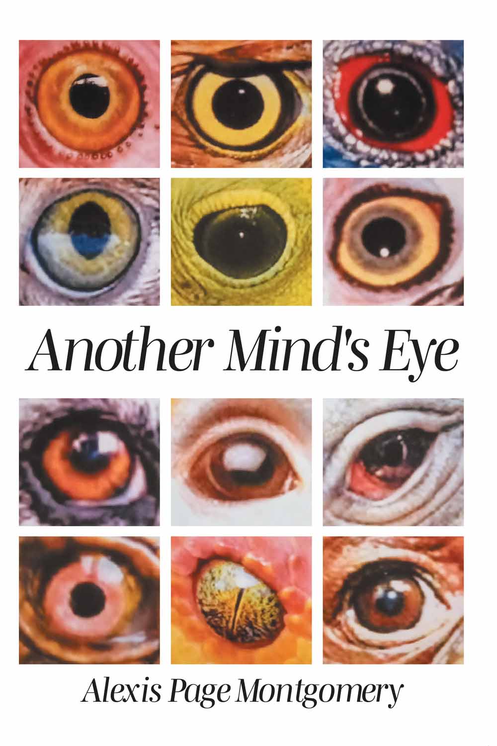 Another Mind’s Eye