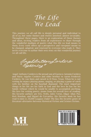 The Life We Lead - Back Cover