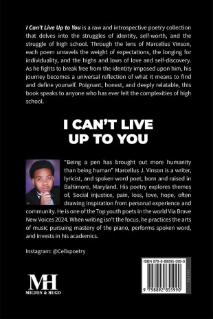 I Can't Live Up To You - Back Cover
