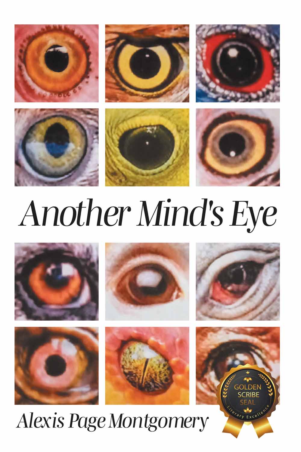 Another Mind's Eye by Alexis Page Montgomery 