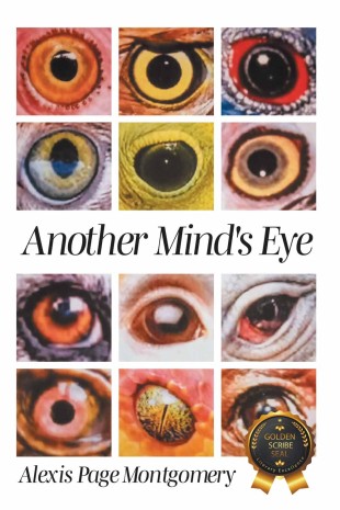 Another Mind's Eye