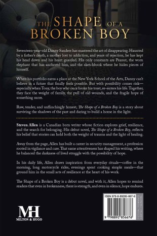 The Shape Of A Broken Boy - Back Cover