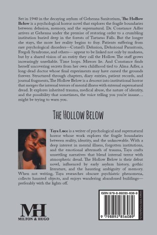 The Hollow Below - Back Cover