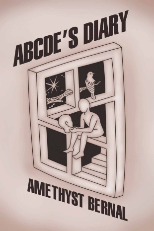 ABCDE'S Diary
